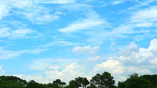 纯蓝天有云移过绿顶草树时间错误1视频的预览图