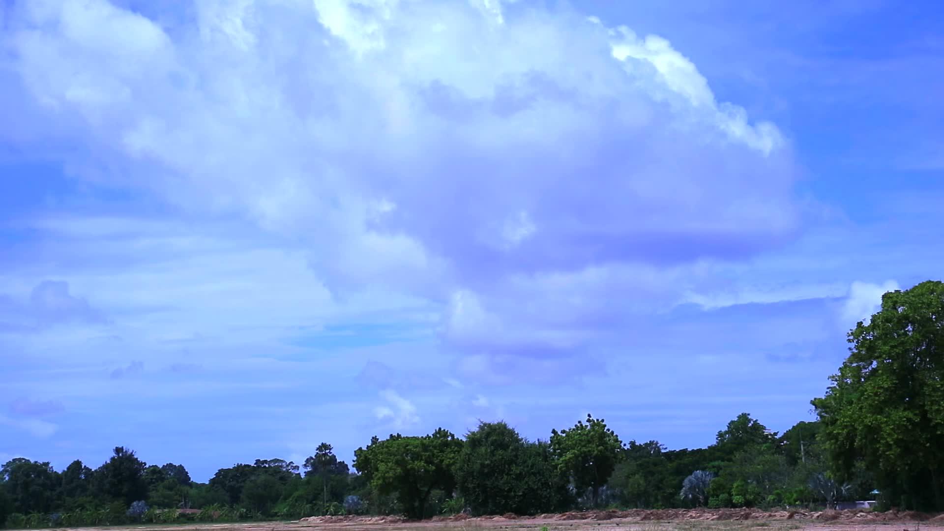 蓝天云在干燥的田野中穿过绿色的树顶视频的预览图
