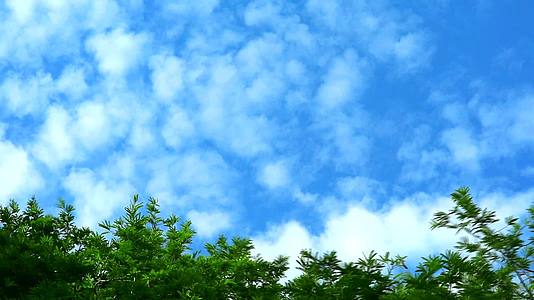 纯蓝的天空在夏天飘过绿色的植物和树木视频的预览图