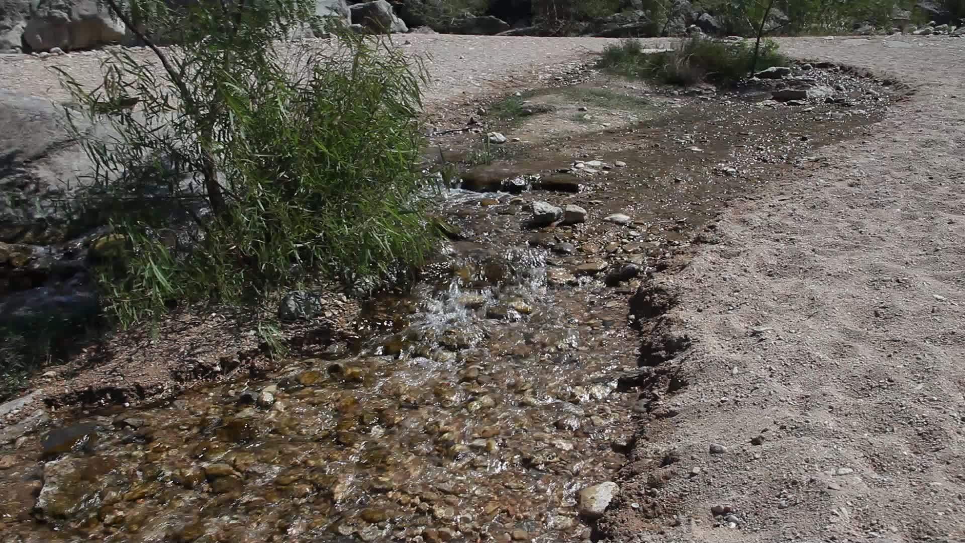 泉水流入小溪河视频的预览图