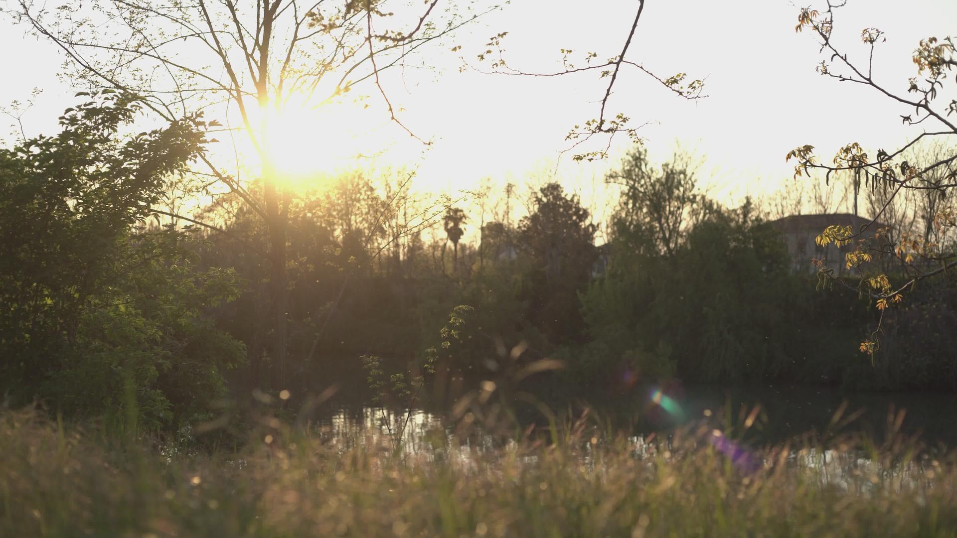 春天4日落时的池塘视频的预览图