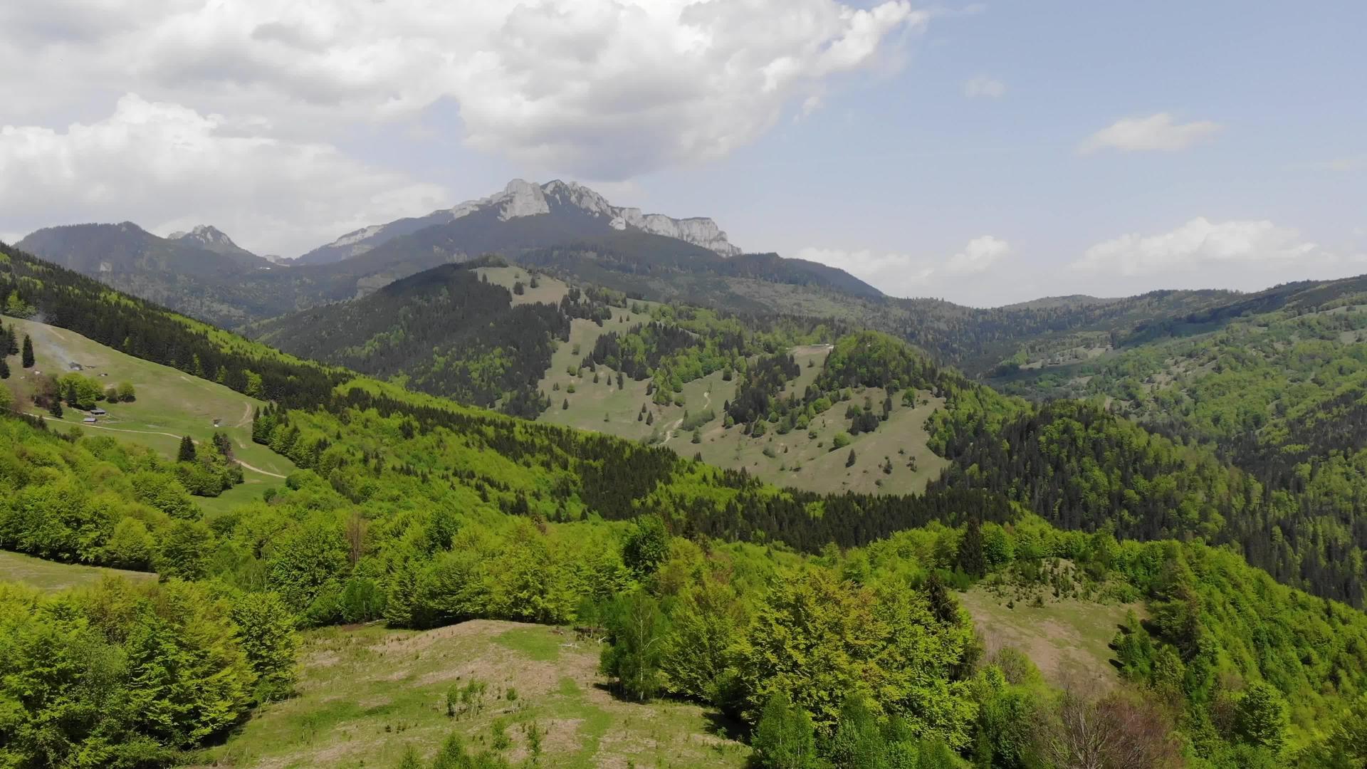 罗马尼亚惊人的绿色森林空中观察全景位于罗马罗马尼亚视频的预览图