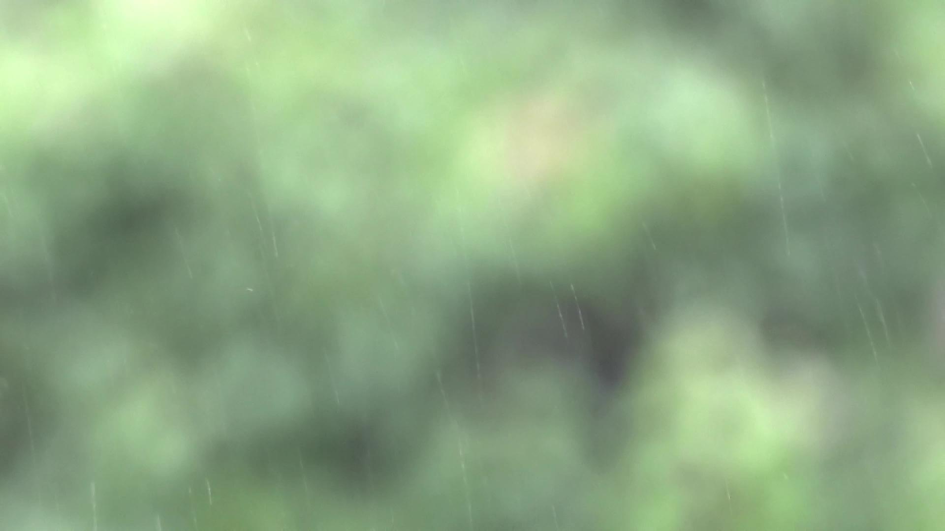柔和的绿色背景下的雨滴是美丽而模糊的自然降雨模式视频的预览图