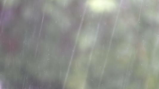 柔和的绿色背景下的雨滴是美丽而模糊的自然降雨模式视频的预览图