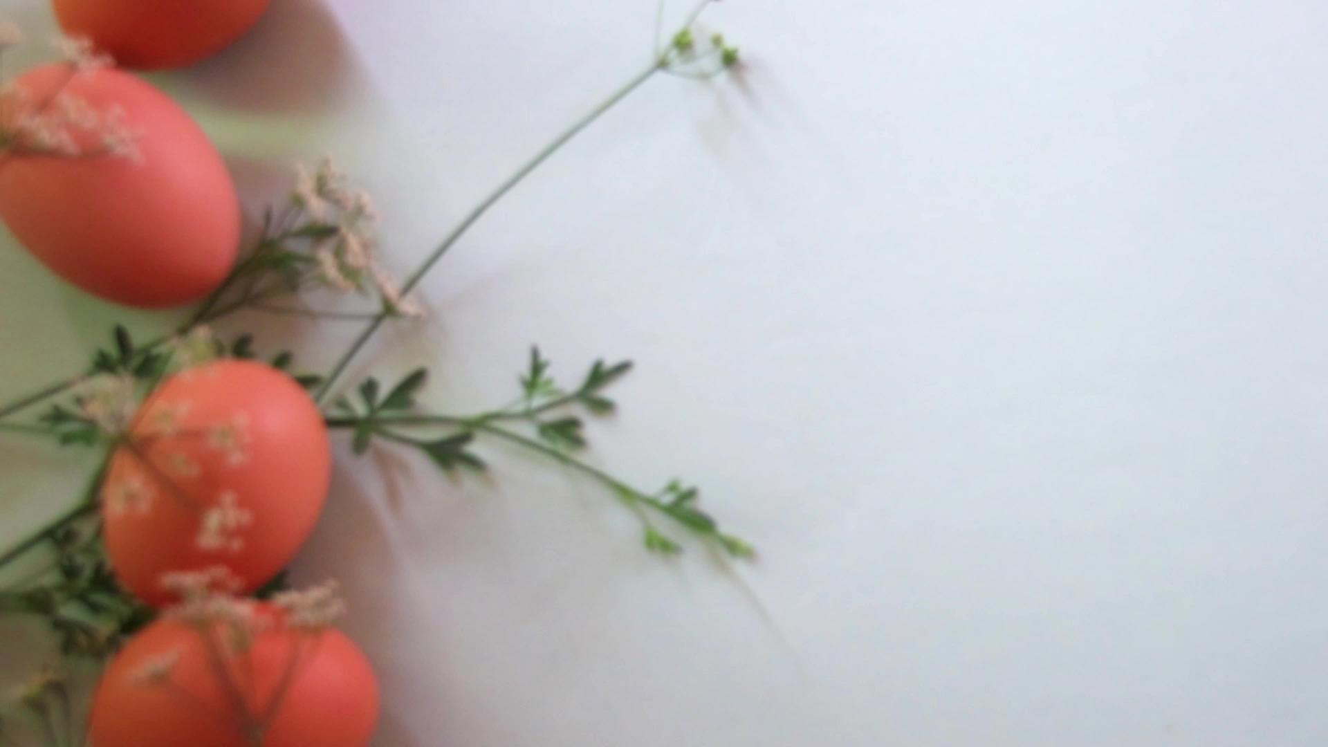 用棕色鸡蛋和精致的花朵排列的架子焦点视频的预览图
