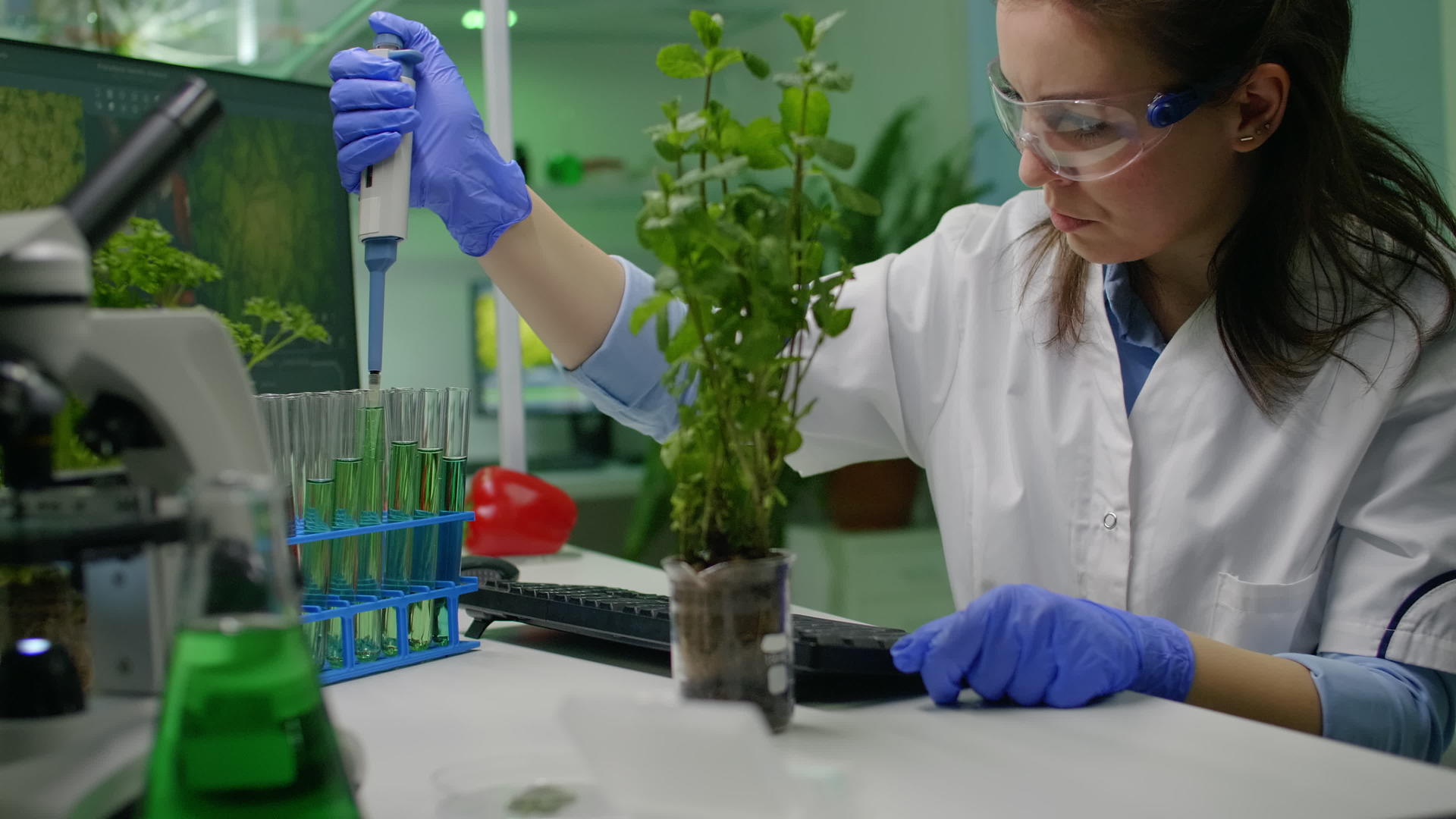 生物化学科学绿色液体和微浸泡剂应用于树苗视频的预览图