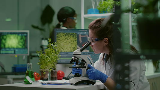 制药科学家研究显微镜上的绿叶样本视频的预览图