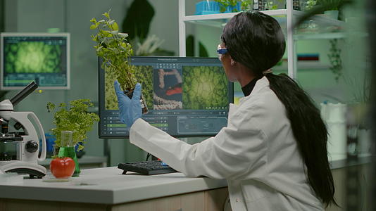 科学家研究绿树苗进行医学实验视频的预览图