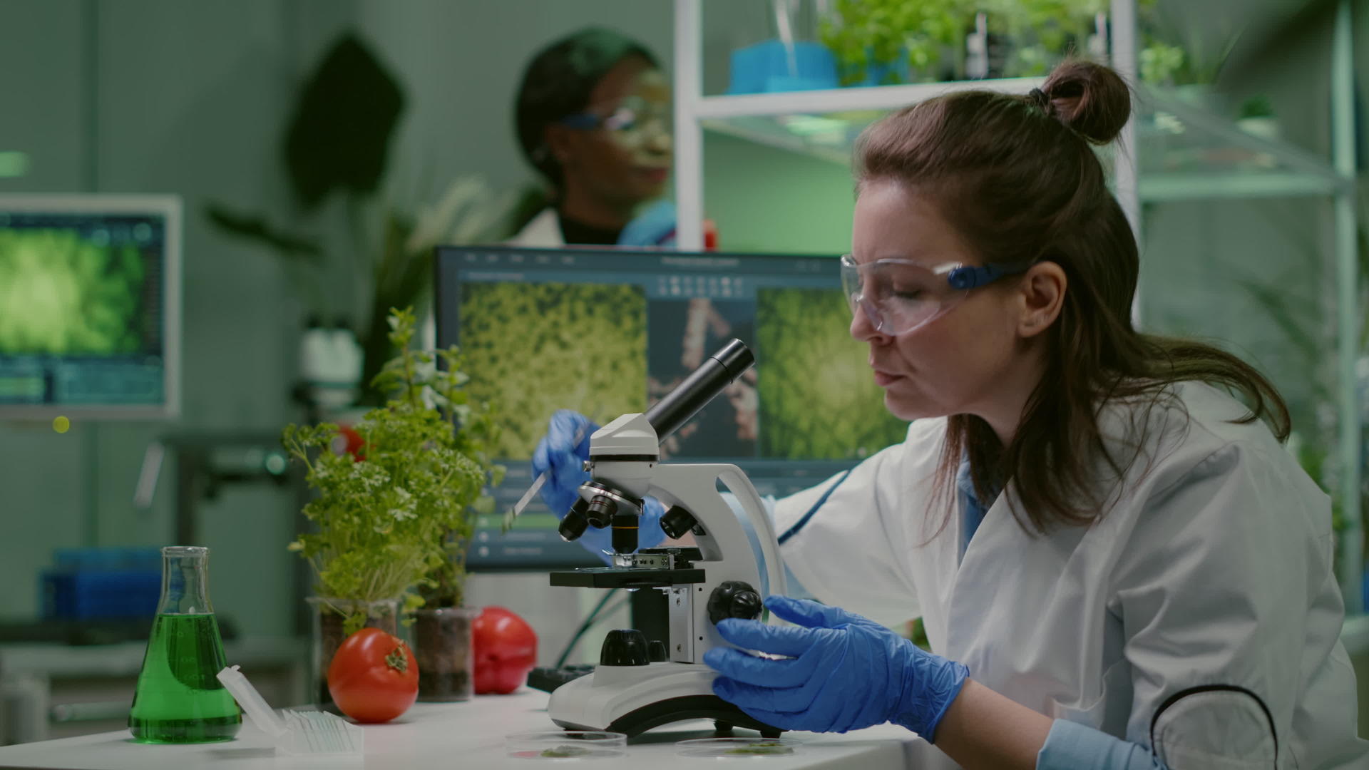 科学家和医生在显微镜下分析植物和植物视频的预览图