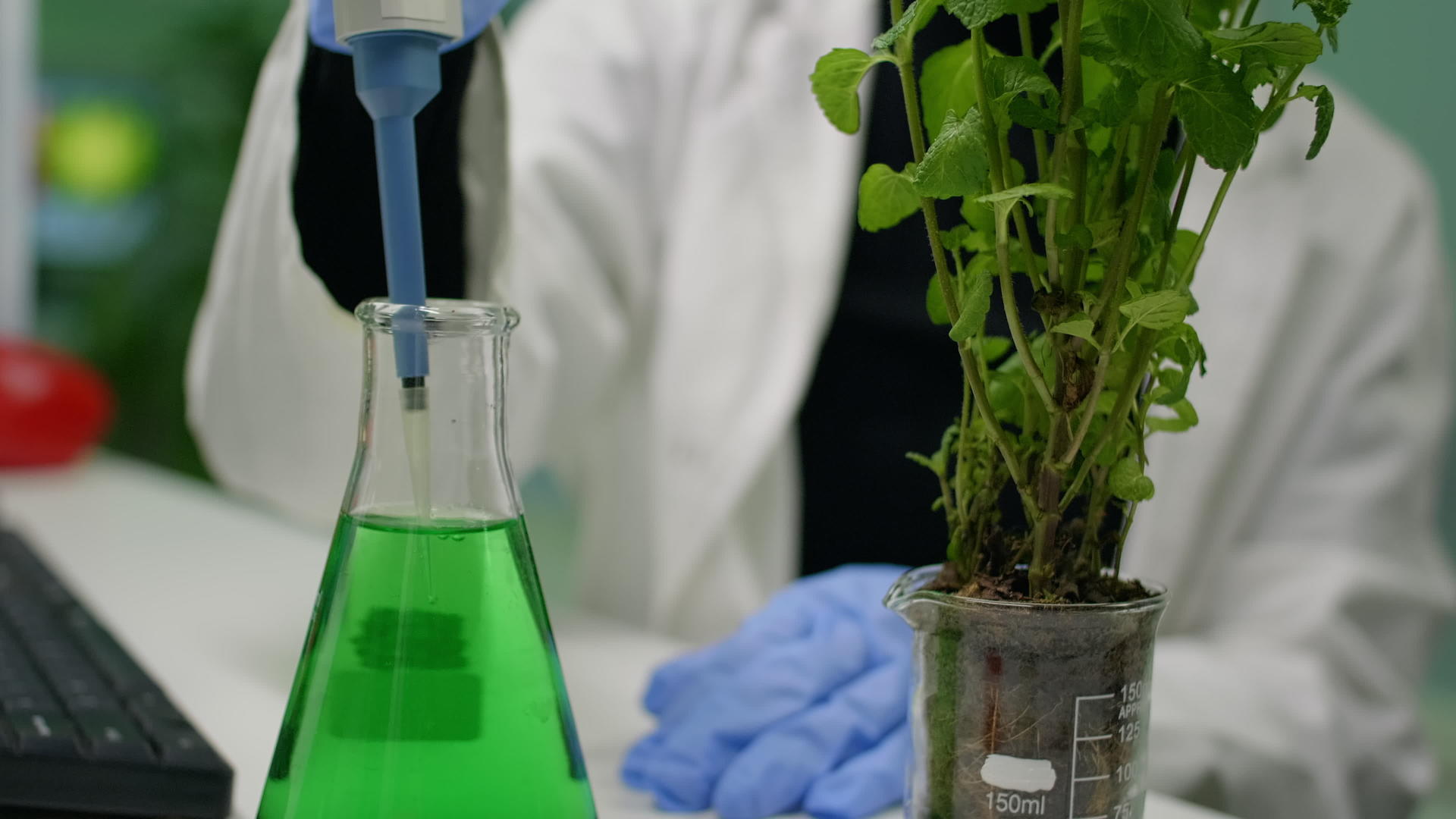 植物学家女性用微水管将遗传液体放入树苗中并近距离关闭视频的预览图