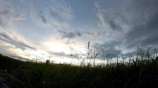 傍晚太阳的反射云在天空中迅速飘动稻田里有阴影树视频的预览图