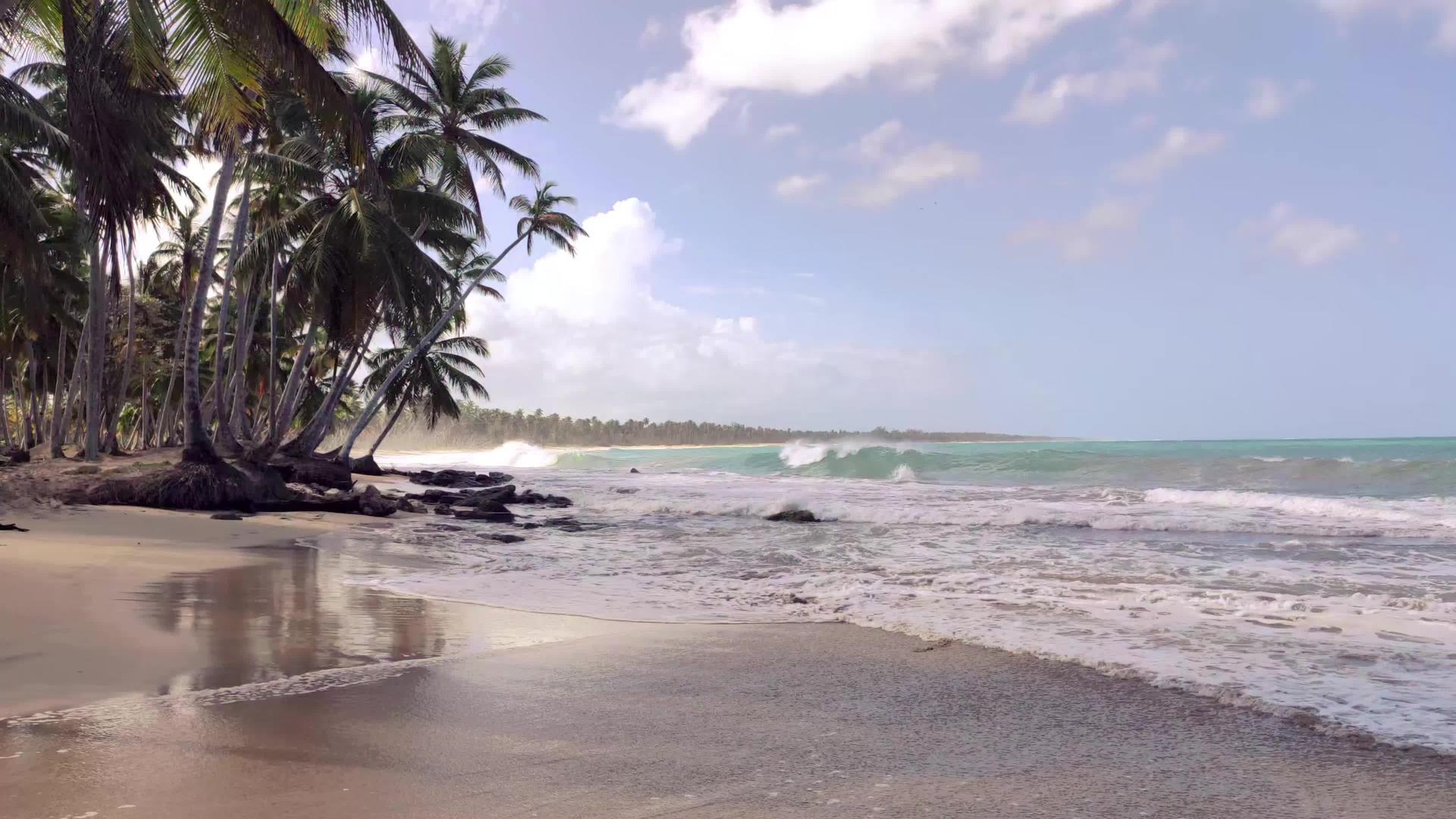 13号多米尼西亚共和国视频的预览图