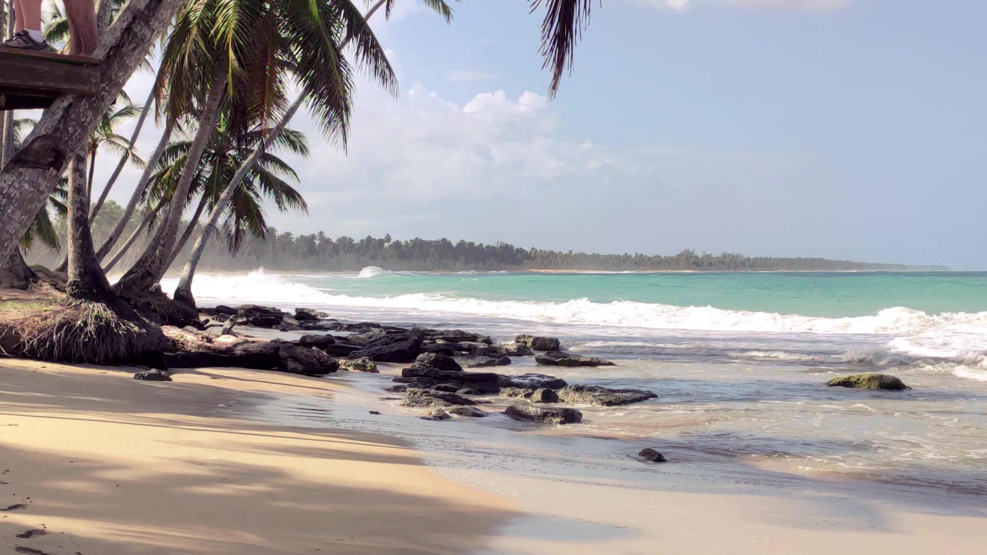 多米尼西亚共和国第15期视频的预览图