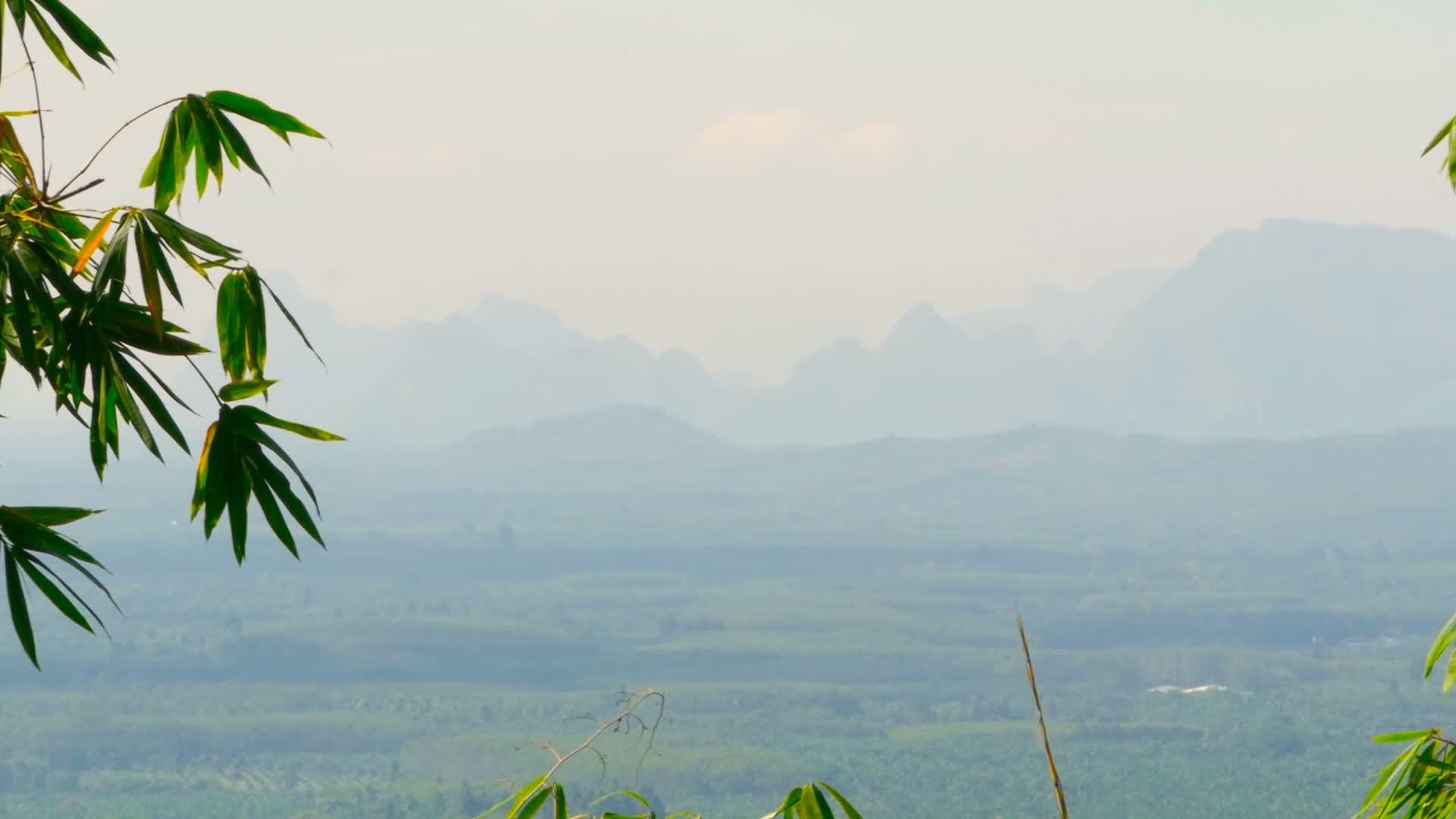 山谷的风景和山峰的背景通过竹叶穿过竹叶视频的预览图
