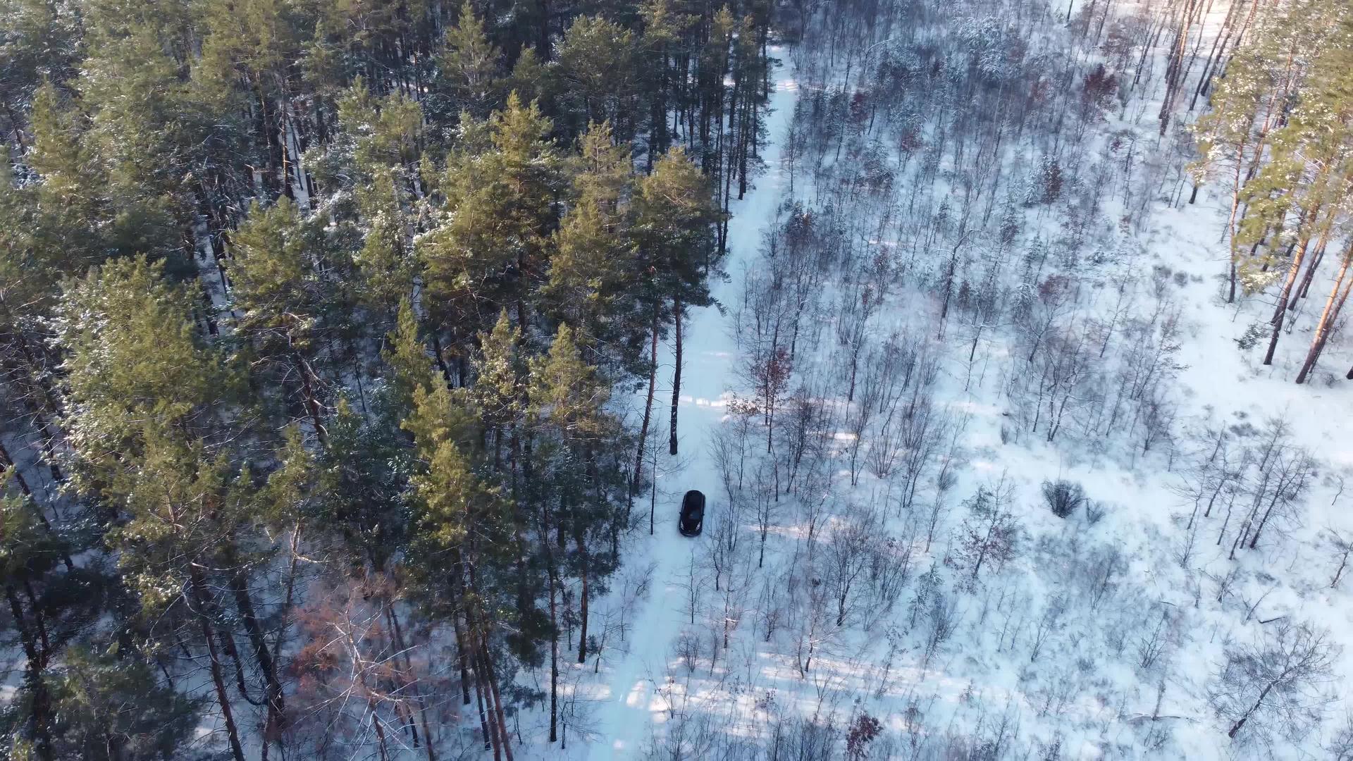 一辆汽车穿过乡村道路上的冬季森林无人驾驶飞机视频的预览图