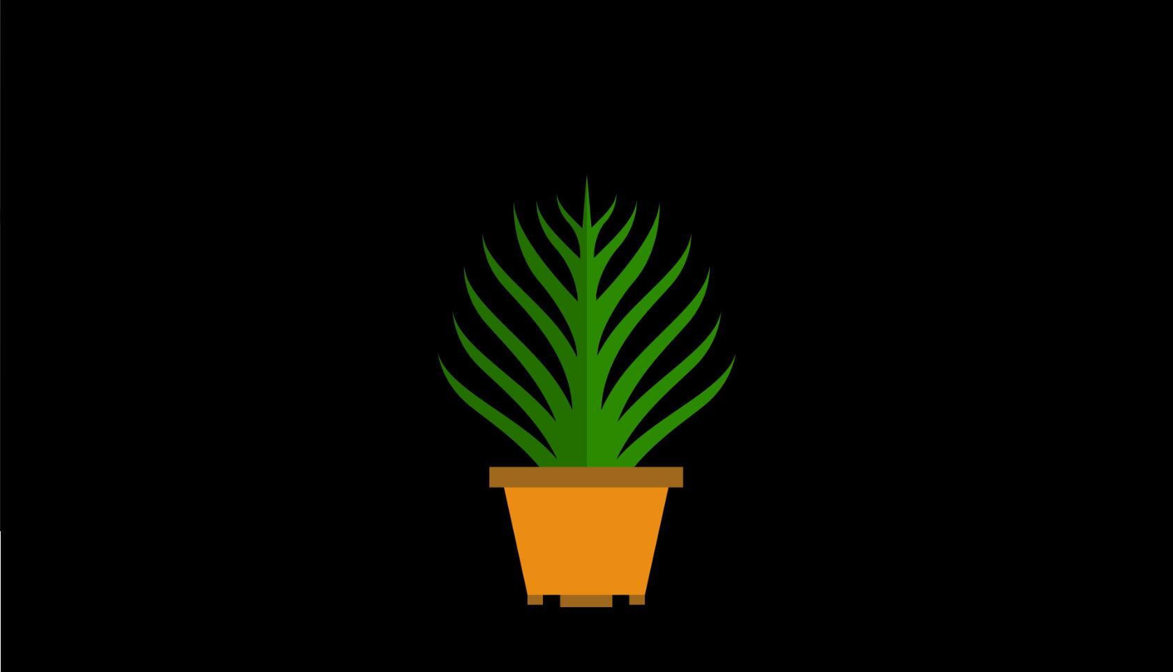 mg动态尖页藤条盆栽生长视频素材视频的预览图