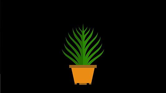 mg动态尖页藤条盆栽生长视频素材视频的预览图
