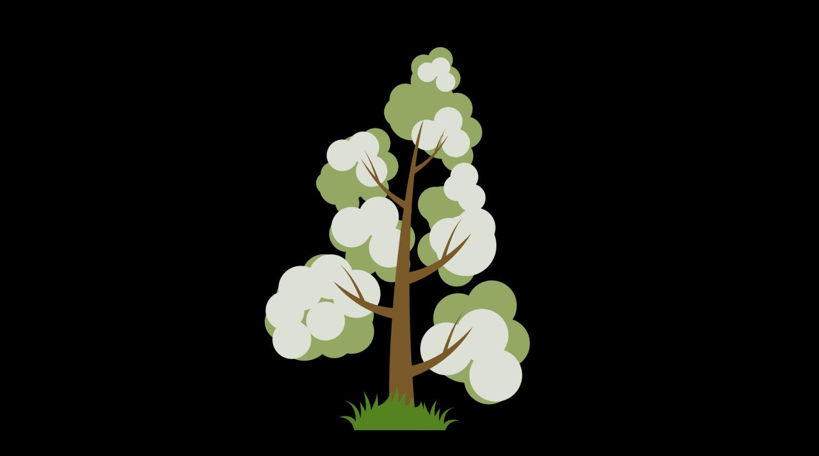 mg动态木棉树生长视频素材视频的预览图