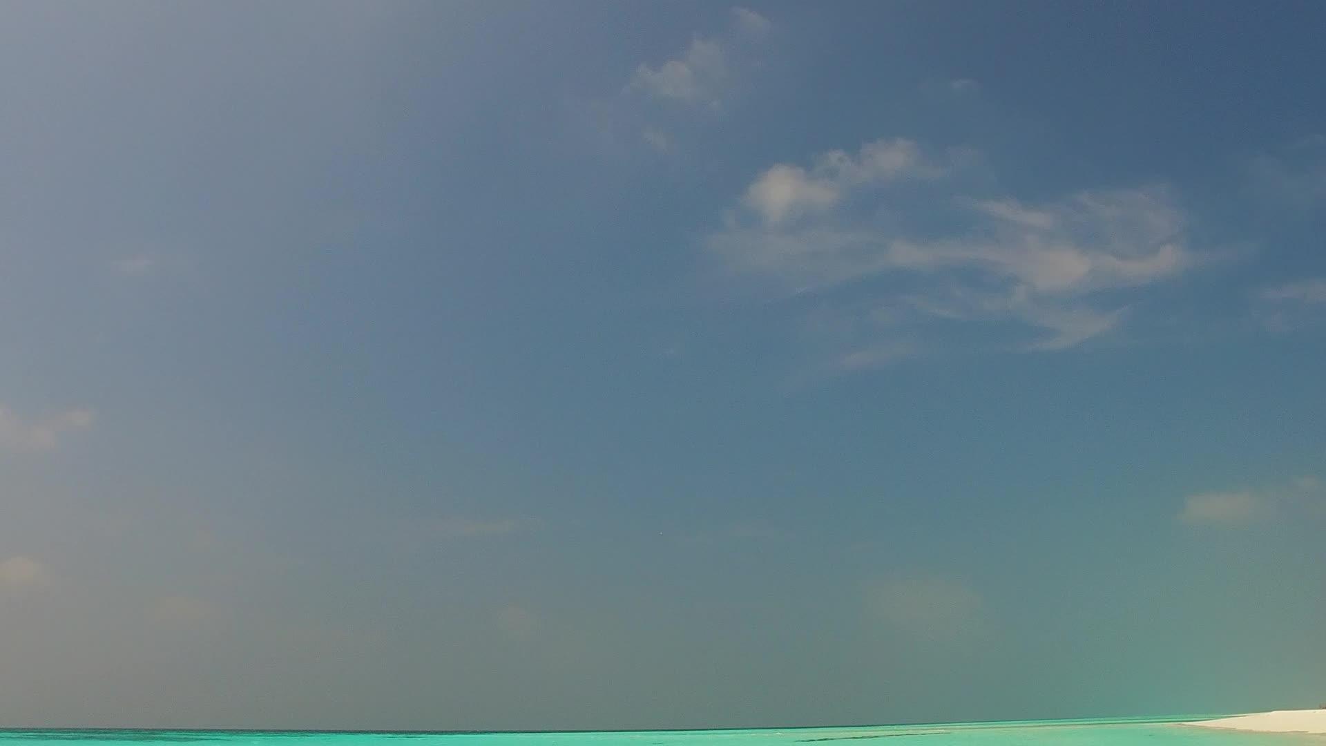 海洋海岸海滩生活使用蓝海和近冲浪的白色沙沙背景视频的预览图