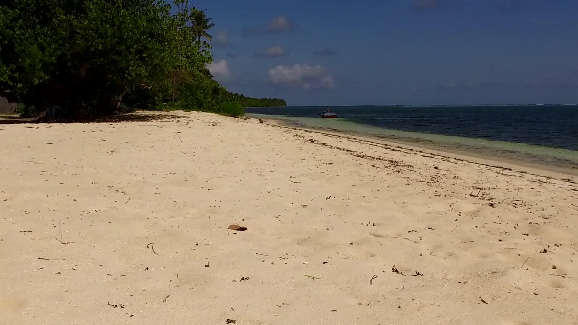 热带海岸海滩度假的空空间抽象摘要来自海平面附近的蓝色视频的预览图