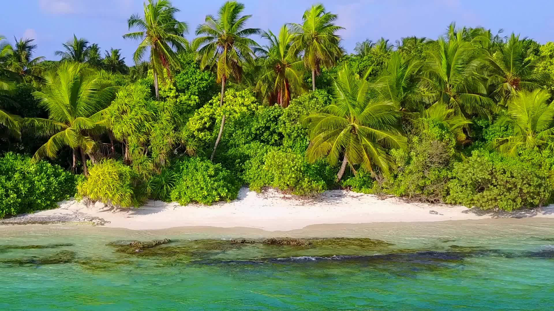 热带度假胜地海滩野生动物空白纹理蓝水和度假胜地附近视频的预览图