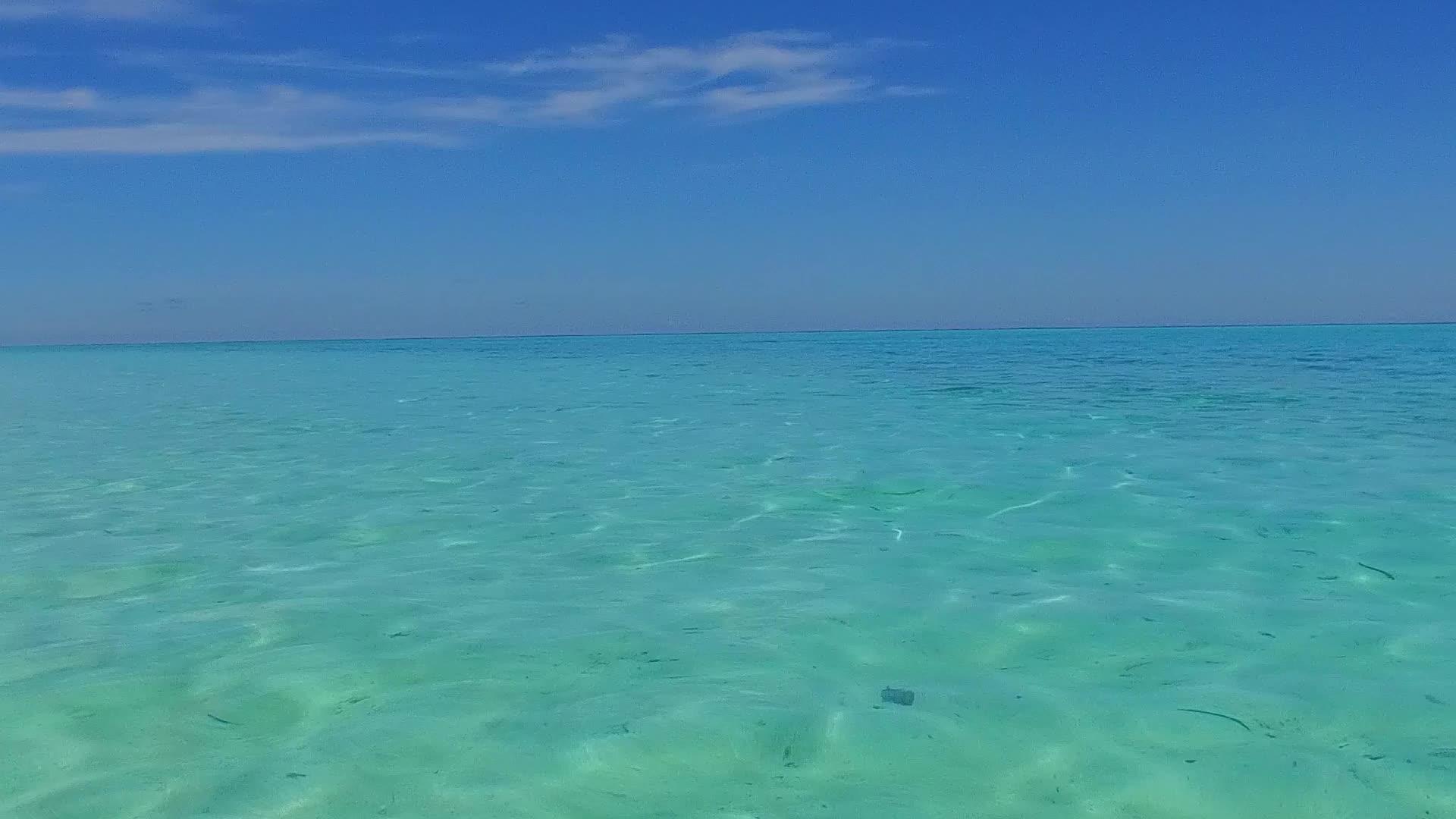 通过蓝水棕榈树附近的白色沙滩背景的蓝水观看海滩时间视频的预览图