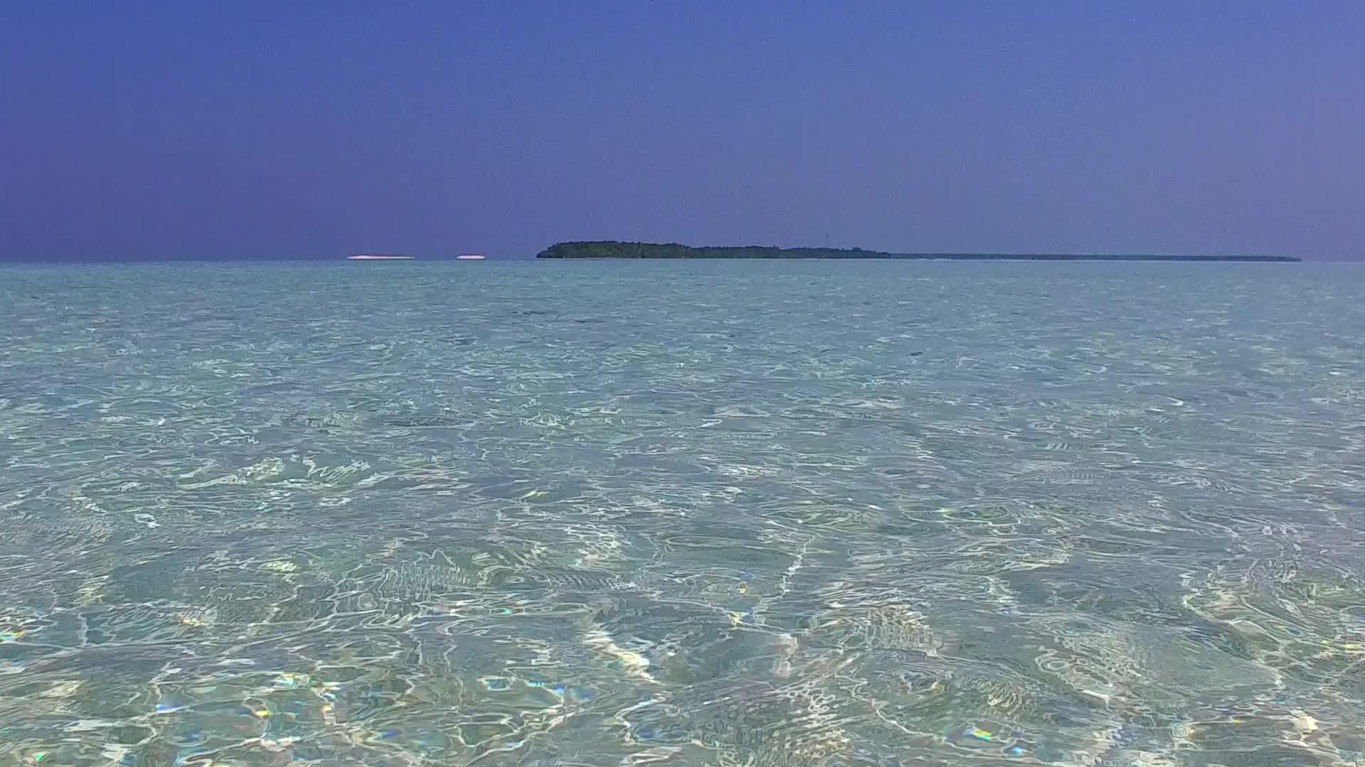热带海滩生活海平面蓝海棕榈树附近有白沙背景视频的预览图