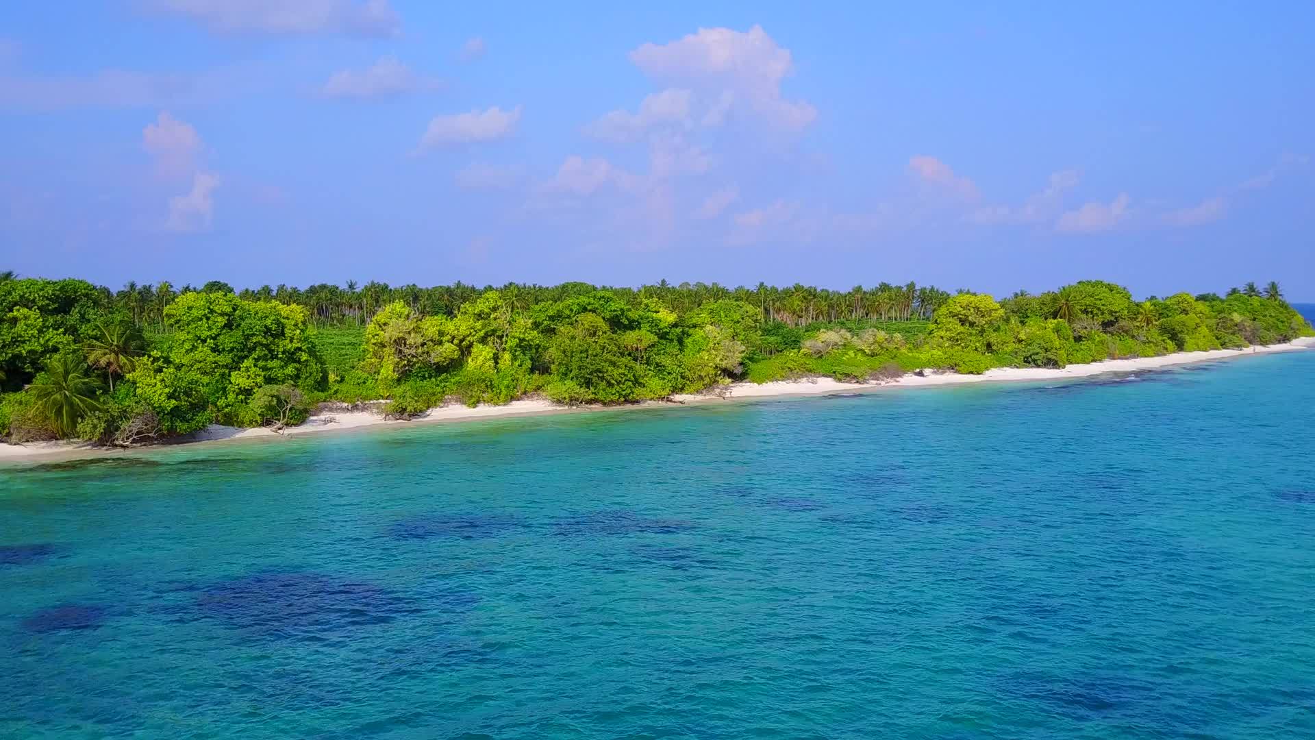 棕榈树附近的蓝绿色海洋完美度假海滩的阳光景观视频的预览图