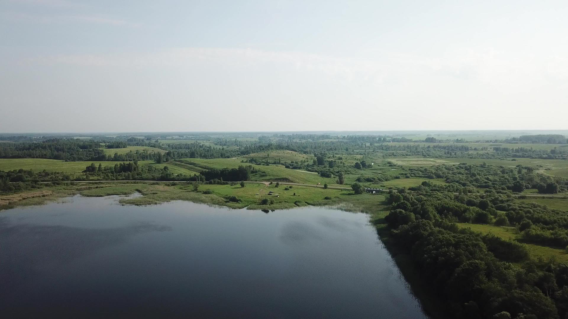 水生动物湖的美丽风景视频的预览图