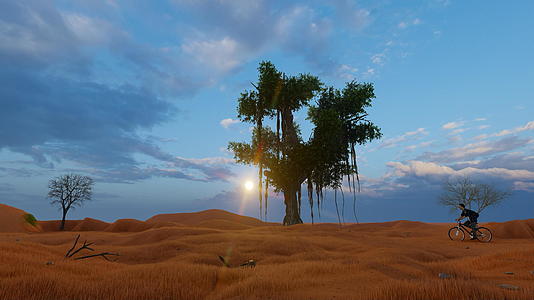 日落时在沙漠景观和绿树前骑双车3天视频的预览图