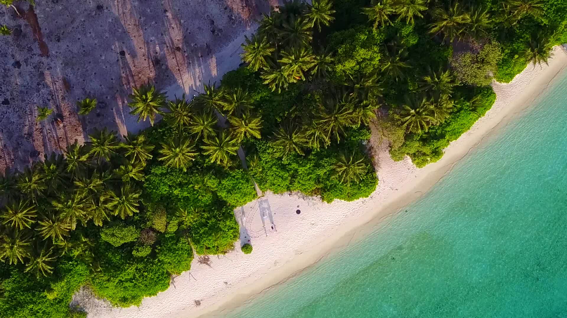 棕榈树附近的白沙背景蓝海美丽的岛屿海滩度假广角景观视频的预览图