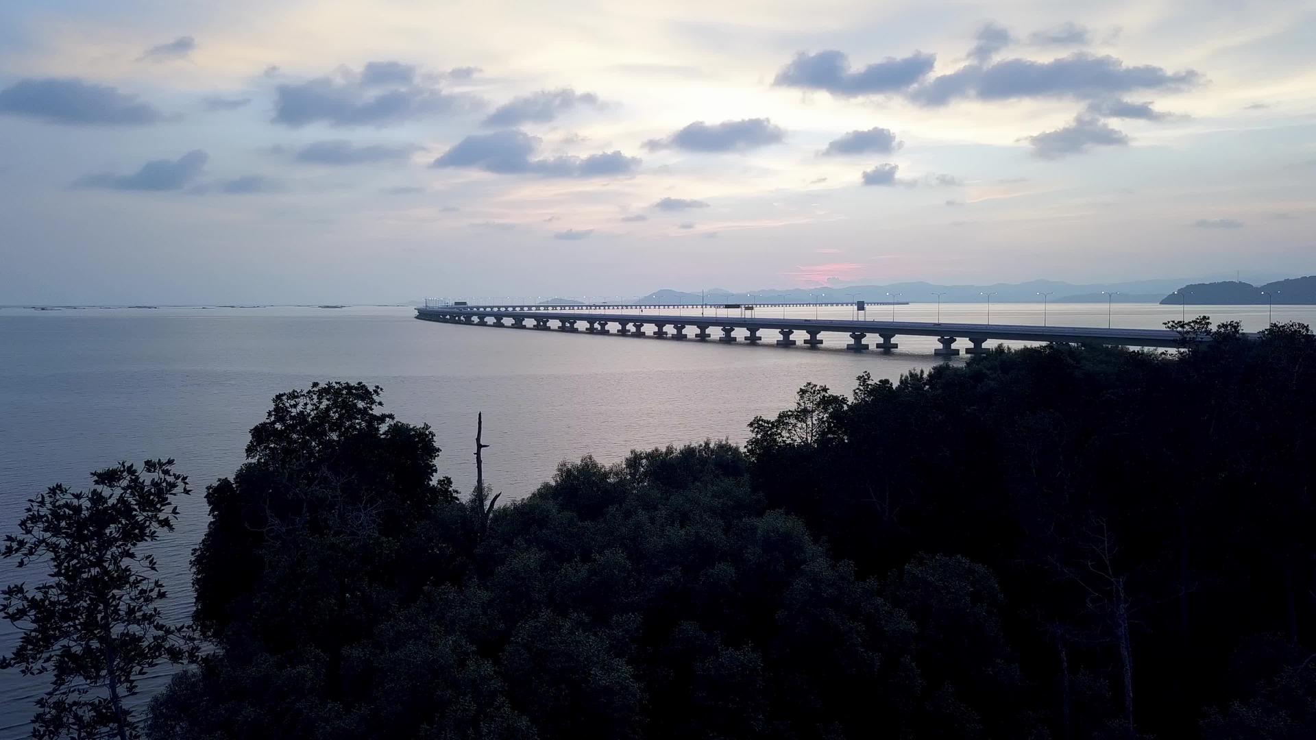 沿海支江第二桥红树林视频的预览图