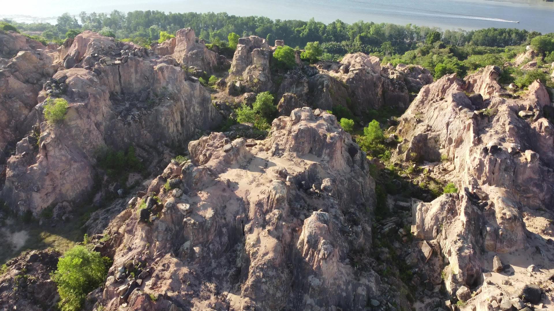 黄地毯石山的森林退化视频的预览图
