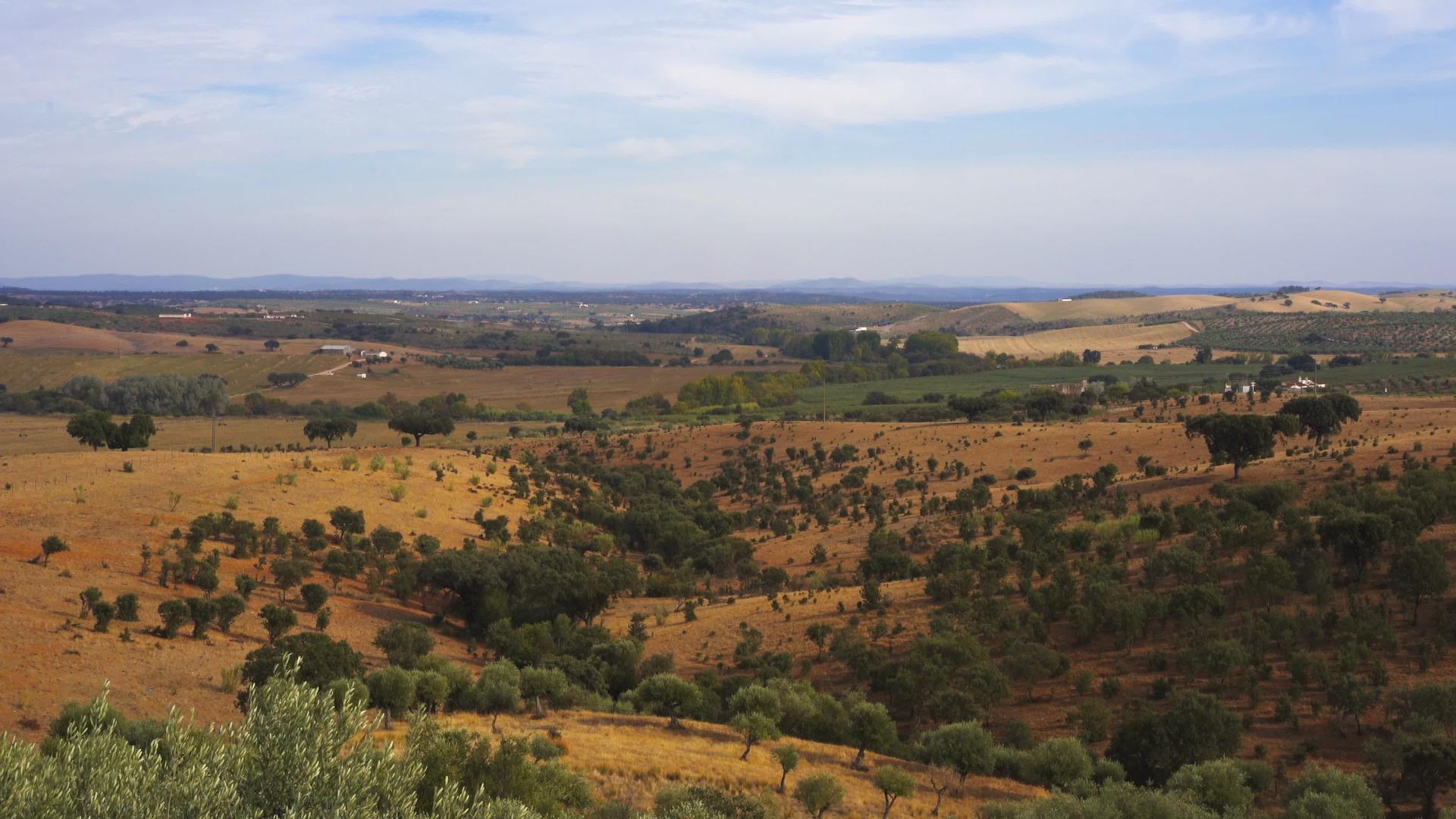 Alentejo美丽的绿色和棕色地貌Portugal视频的预览图