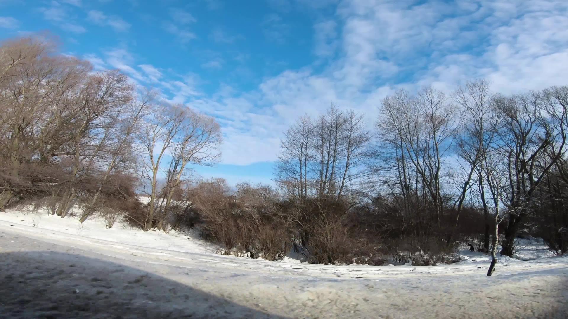 冬天从路边的光树枝叶开始Rey冬季冷冻树木和城市道路视频的预览图