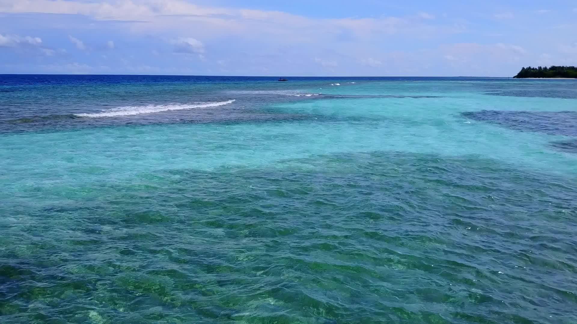 利用蓝水和阳光下的白沙背景关闭外来岛屿海滩上的野生生物视频的预览图