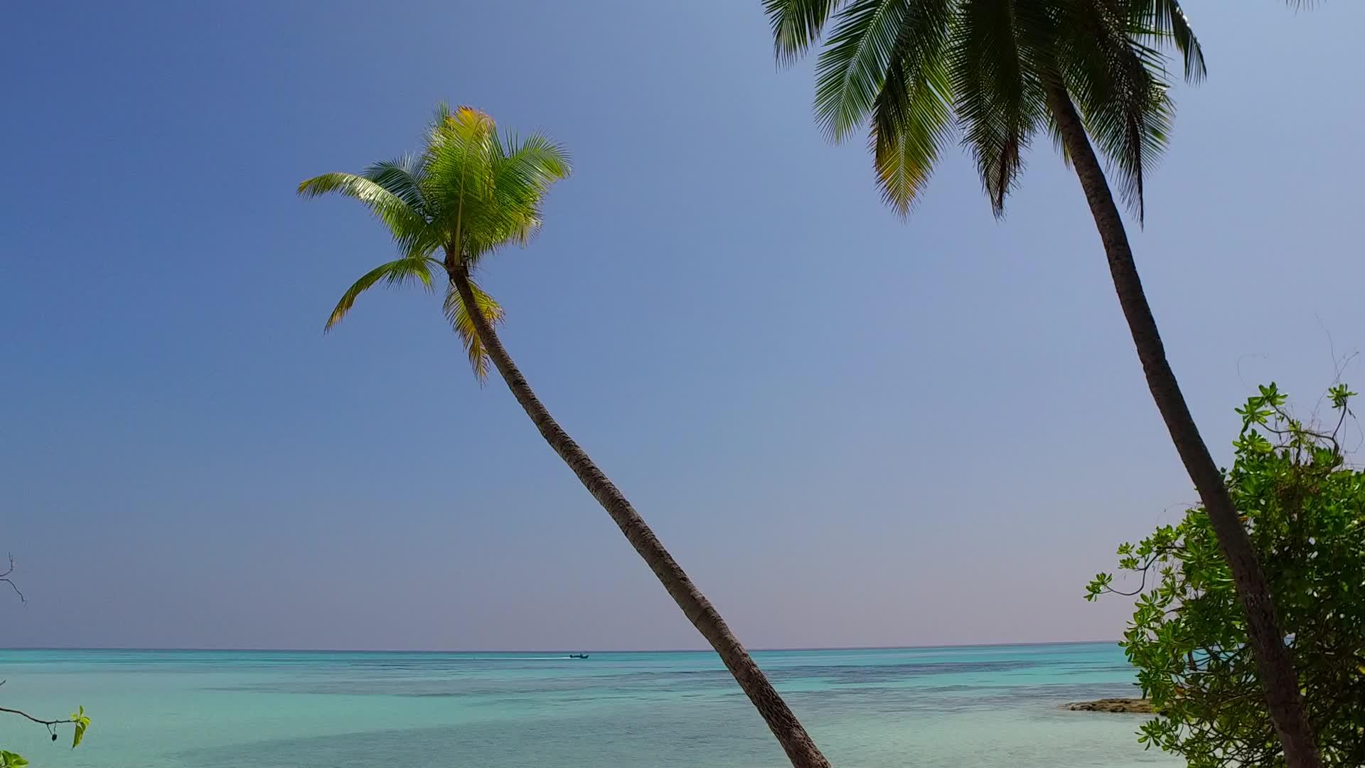 蓝海和沙洲附近的白色海滩背景下的热带沿海海滩的阳光景观视频的预览图