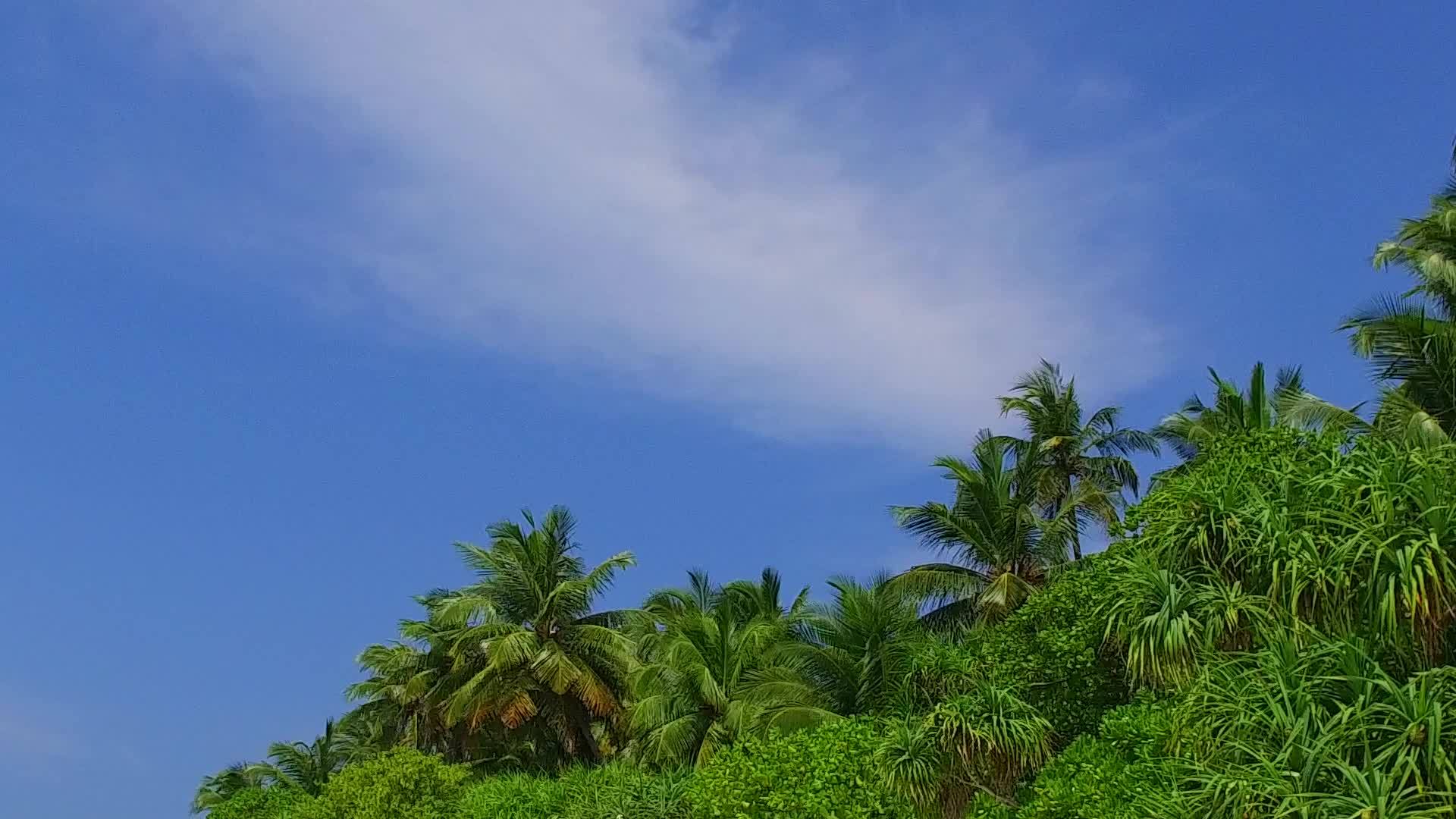 白沙背景靠近暗礁透明海洋复制海洋海景海滩度假空间景观景观视频的预览图