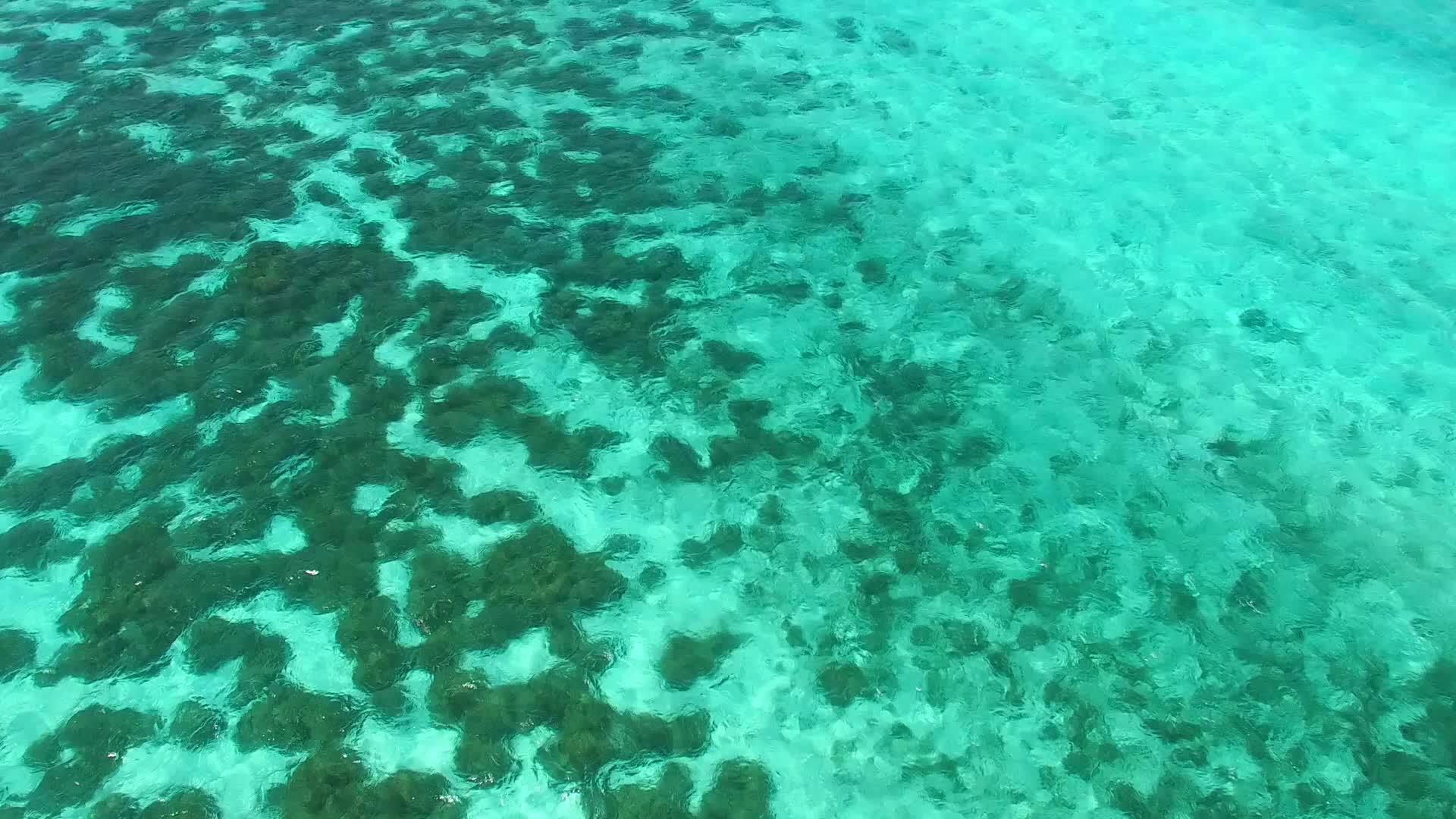 蓝色环礁湖有一个干净的沙土背景在棕榈树附近徒步旅行和探索视频的预览图