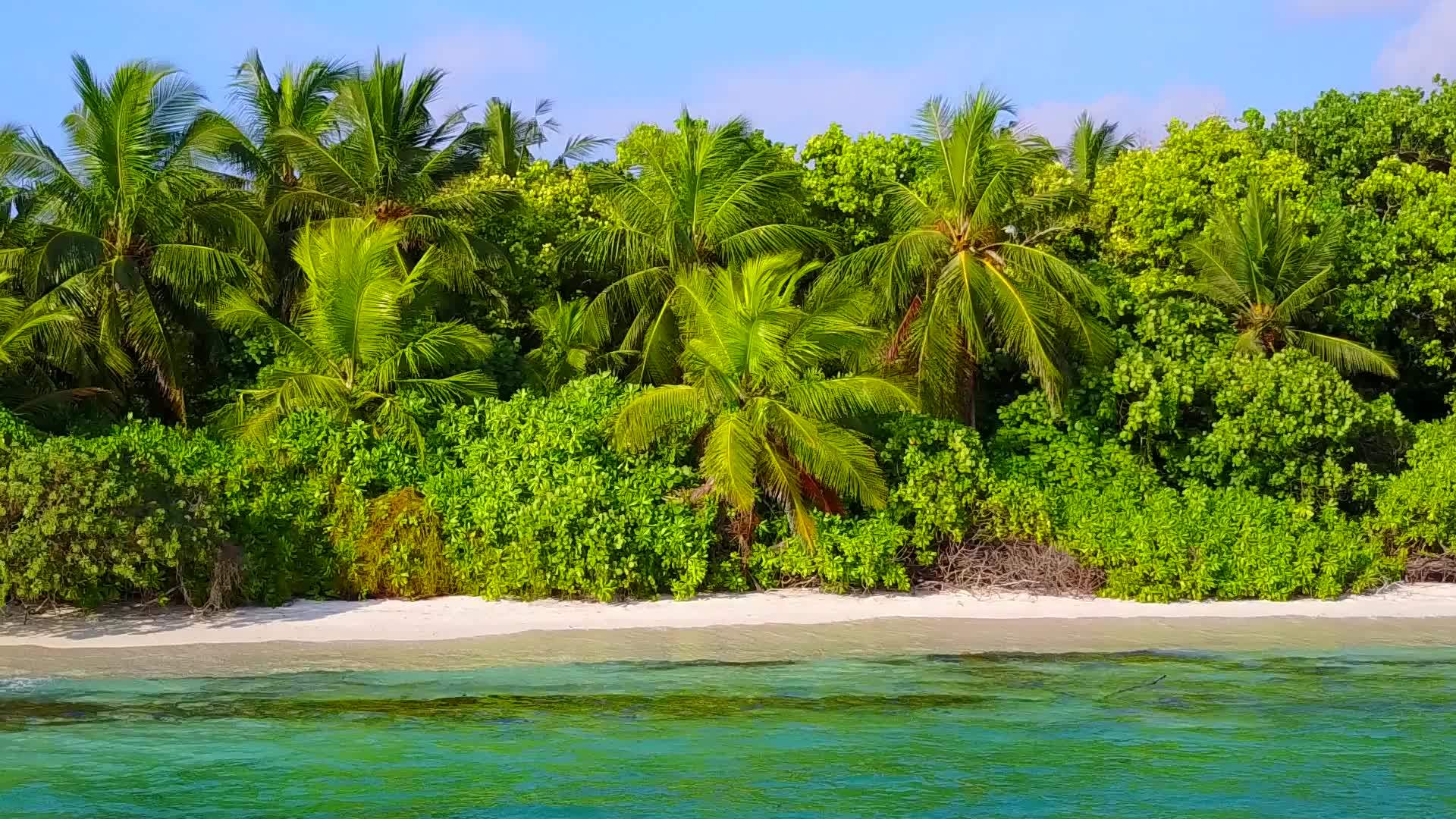 浅水和白色沙滩以浅水和棕榈树附近的白色沙滩为例视频的预览图