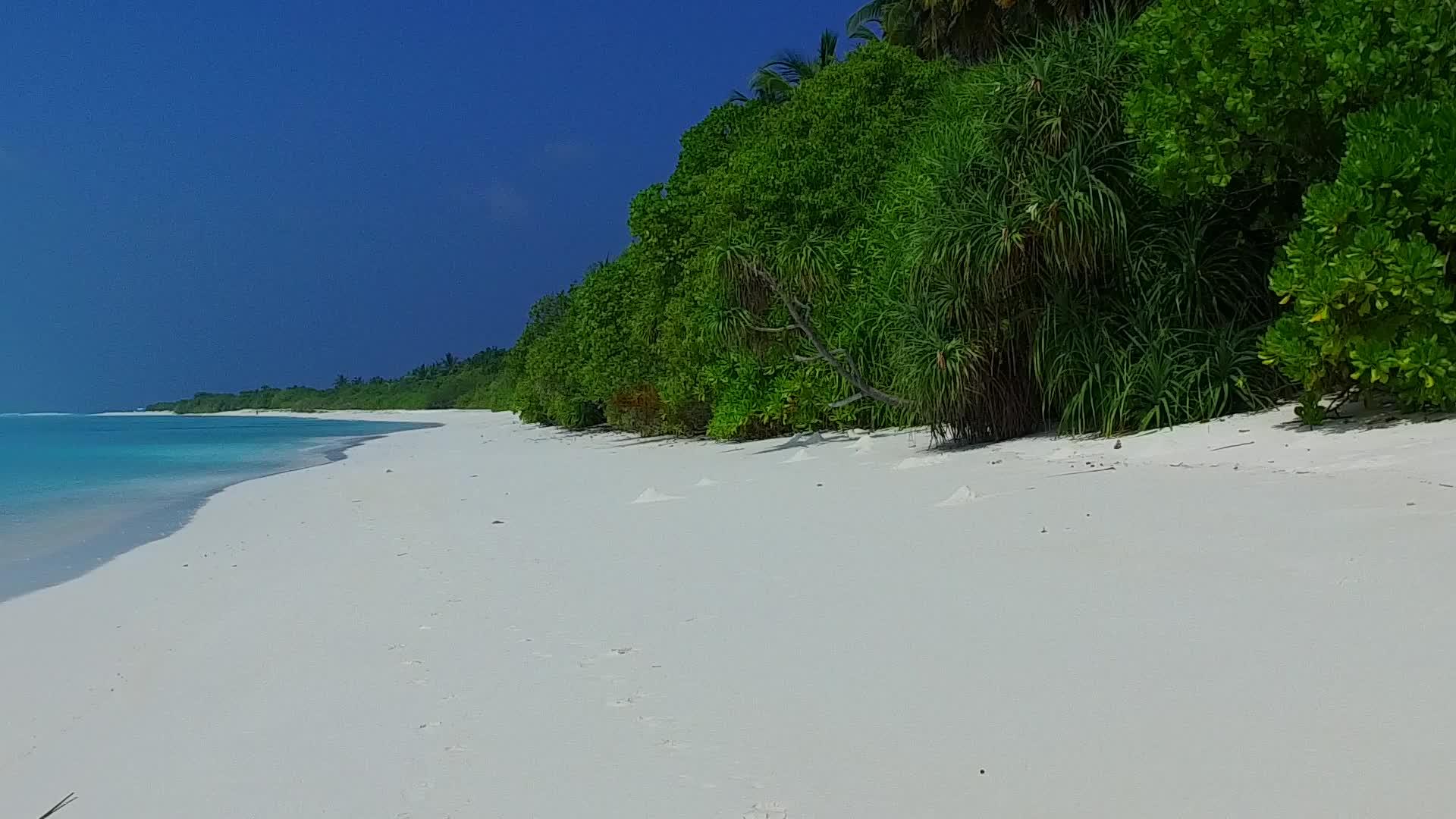 在阳光下有白沙背景的蓝绿色海洋中放松环礁湖海滩之旅视频的预览图