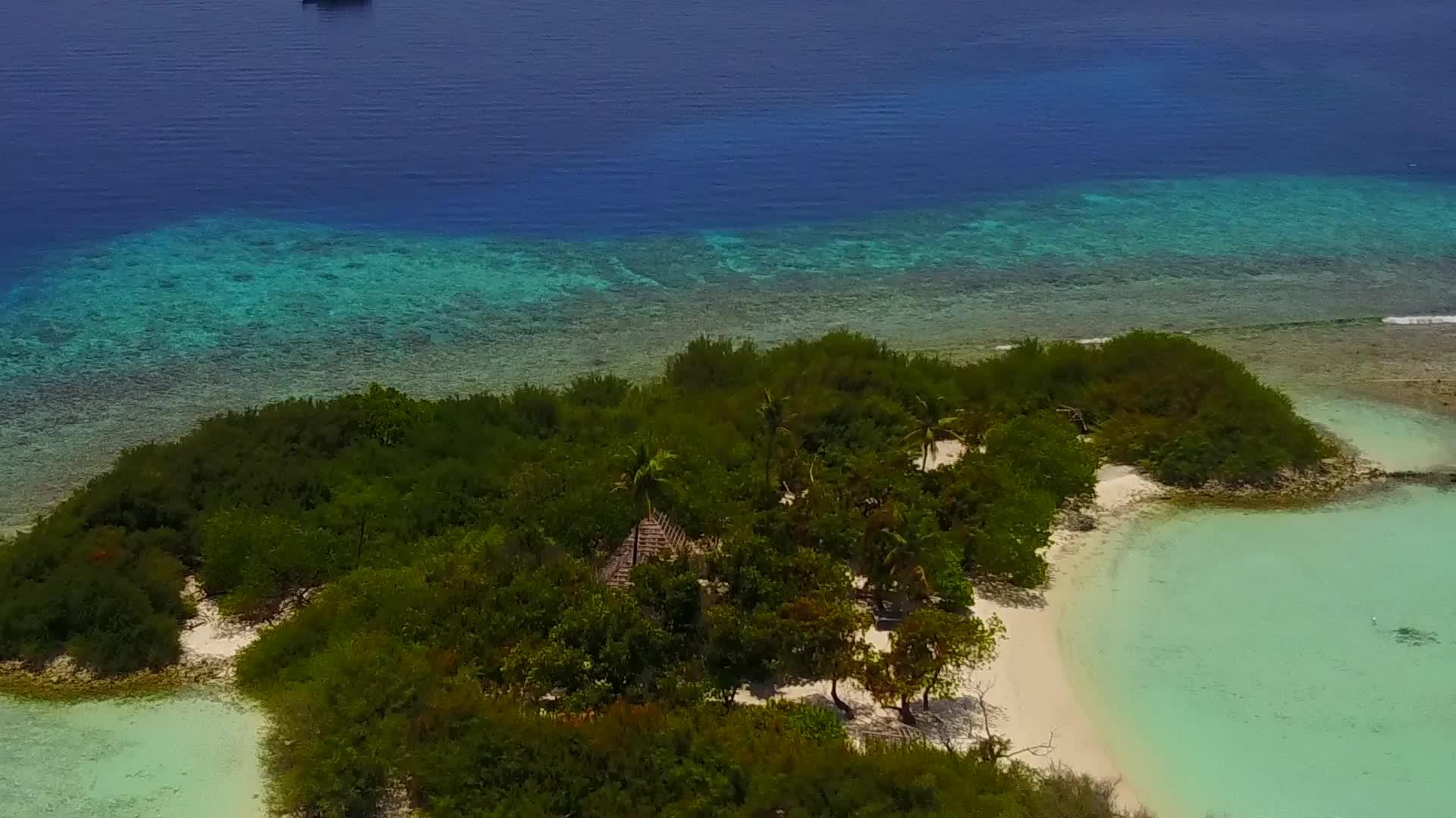 观察阳光下白色沙滩背景的浅礁湖观察海滩野生生物视频的预览图