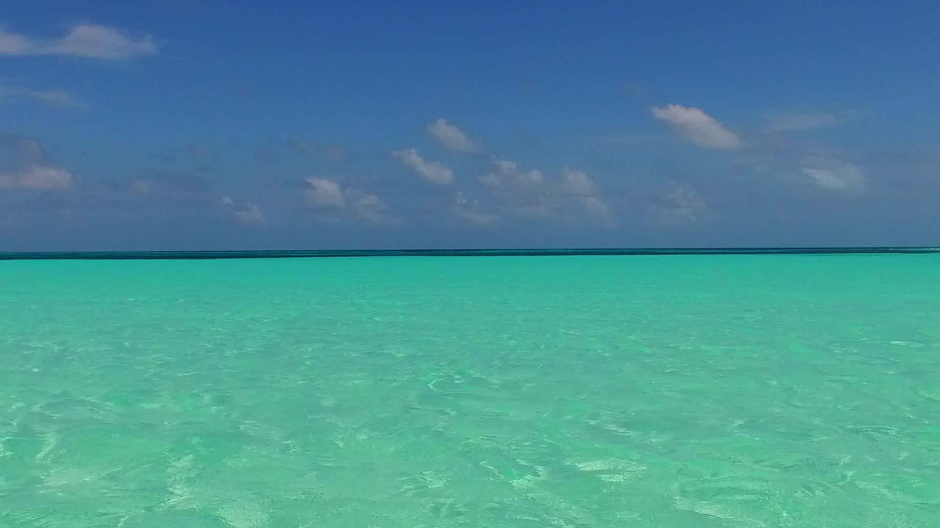 热带海岸线浪漫旅行在棕榈树附近的蓝海和白色沙滩上度蜜视频的预览图