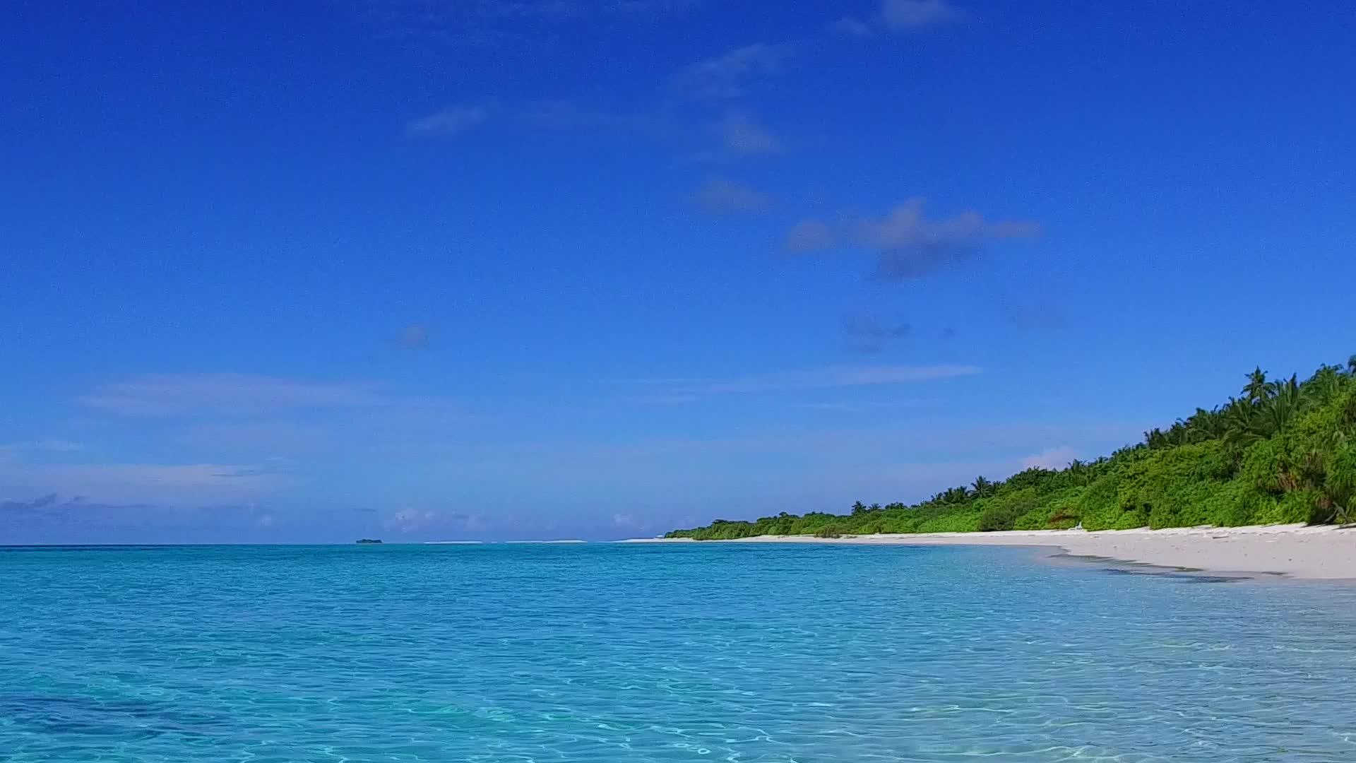 以棕榈树附近的浅沙背景明亮的清水进行海滨探险视频的预览图
