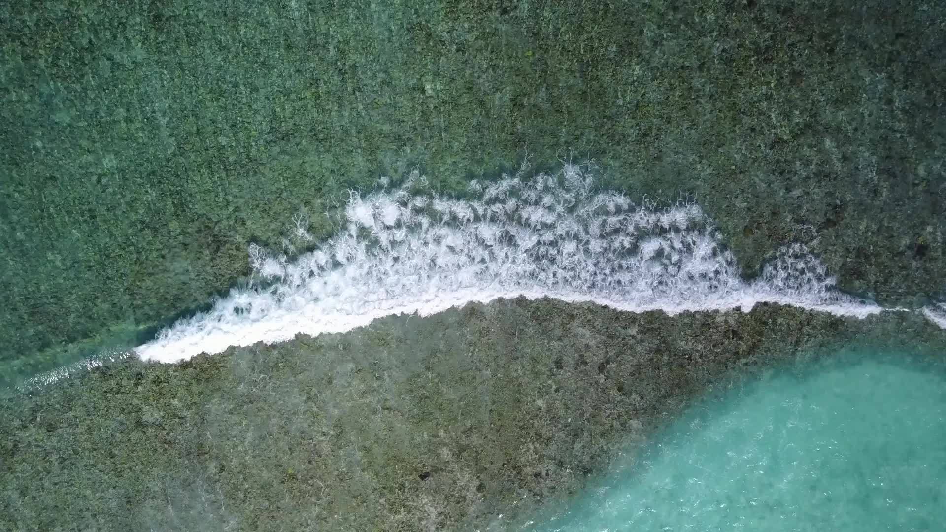 在沙洲附近的白沙背景下绿松石海天堂海滩度假温暖视频的预览图