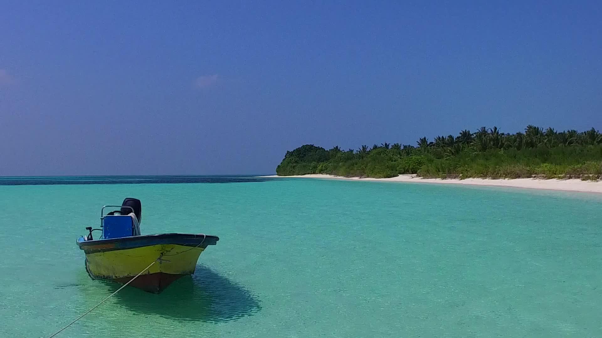 温暖的天空宁静的海景海滩生活方式蓝色的海洋和棕榈树视频的预览图
