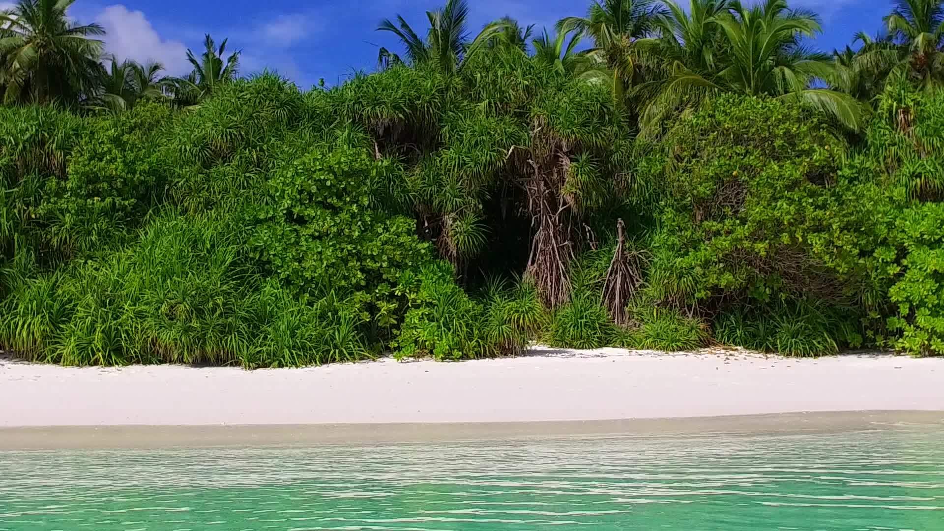 宁静度假胜地海滩生活方式的浪漫风景视频的预览图