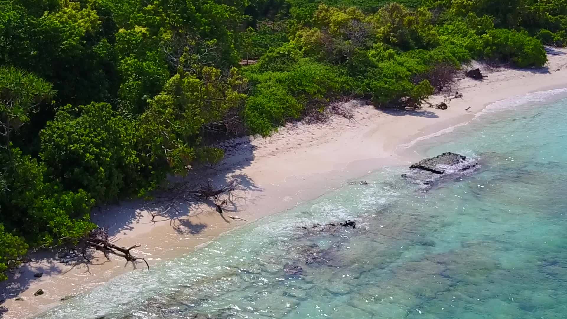 沙洲附近白沙背景的蓝海完美海景海滩之旅视频的预览图