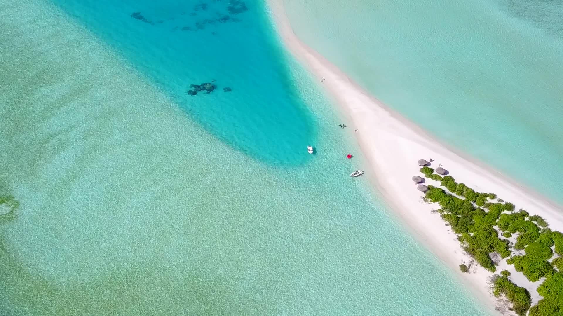 蓝色海洋热带岛屿海滩野生生物宽角风景波附近有明沙沙视频的预览图