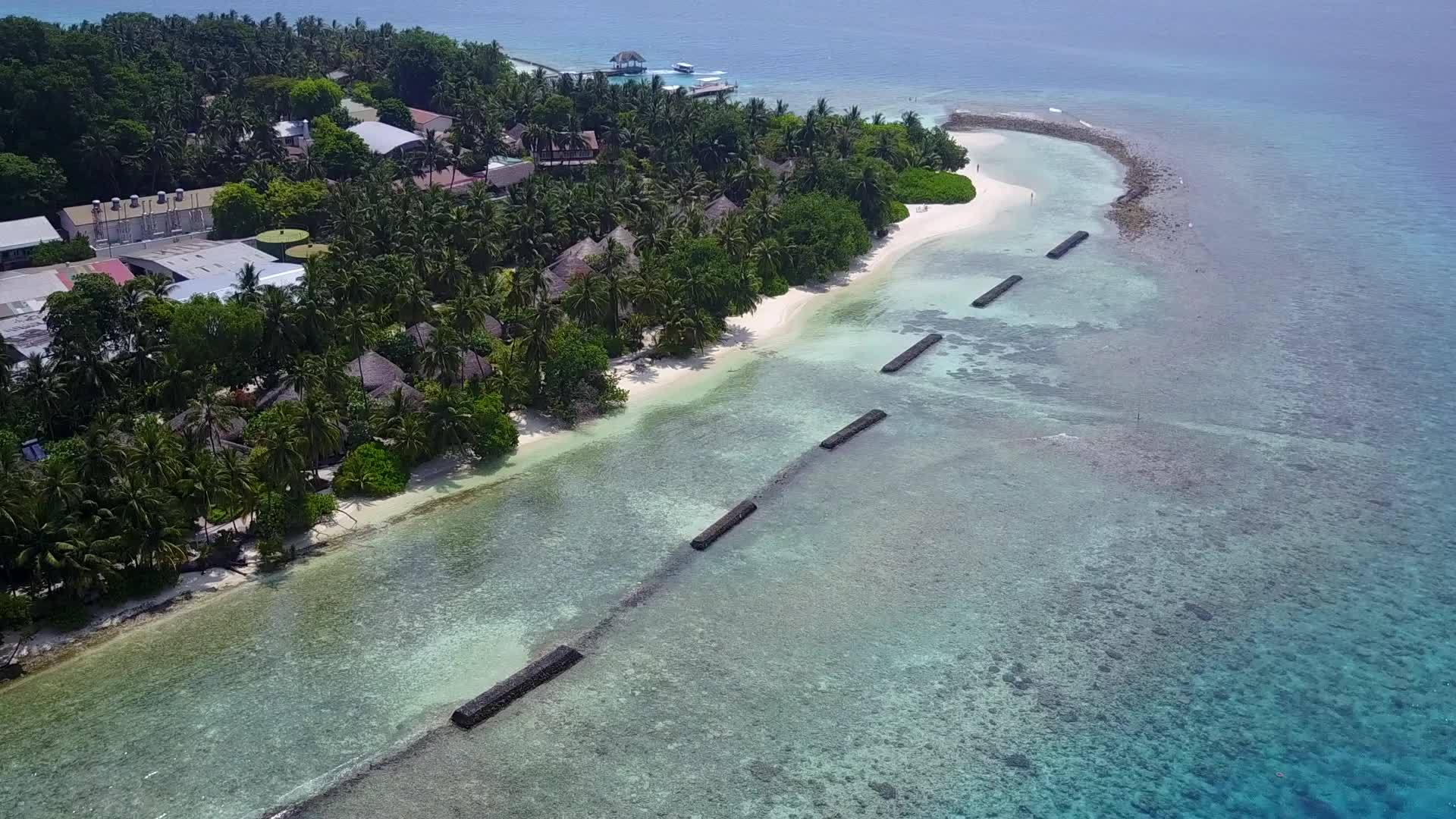 在棕榈树附近的清海和白色的清海和白色海滩上度假视频的预览图